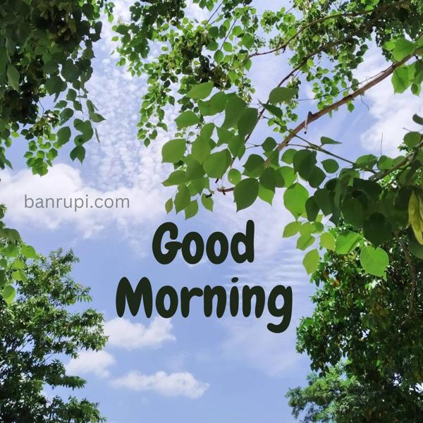 Download Good Morning Image with Beautiful Sky View-banrupi